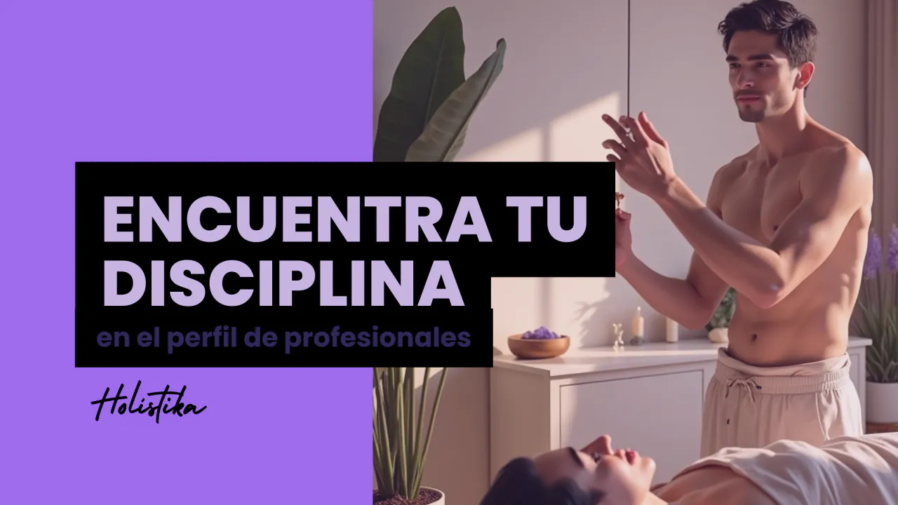 CATEGORÍAS  BASE HOLÍSTIKA