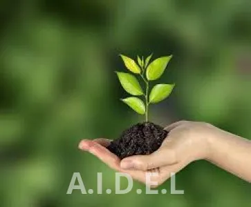 SECRETARIA DE ECOLOGIA