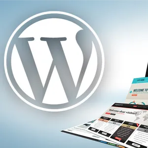 Desarrollo y Diseño de Página Web